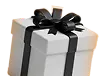 Raffle Box